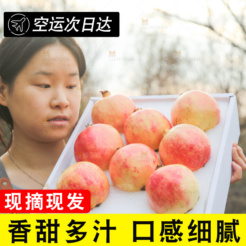 手里拿着突尼斯石榴