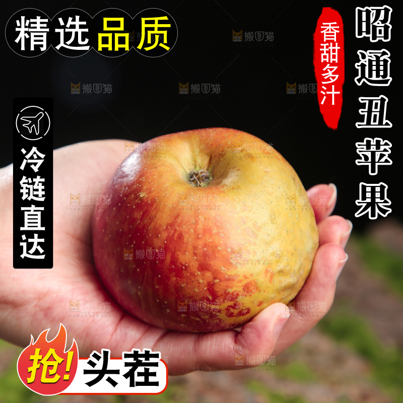手里拿着昭通丑苹果