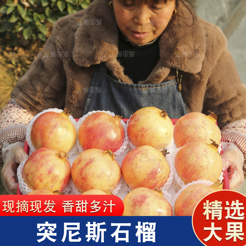 手里拿着突尼斯石榴