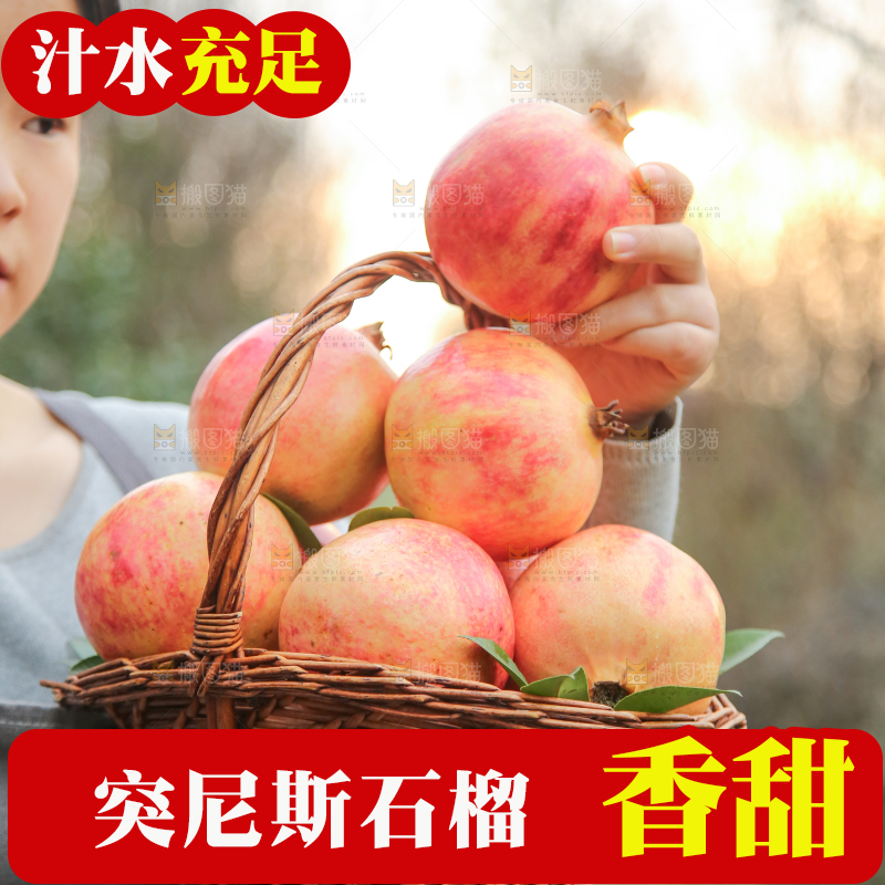 手里拿着突尼斯石榴
