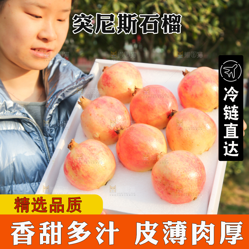 手里拿着突尼斯石榴