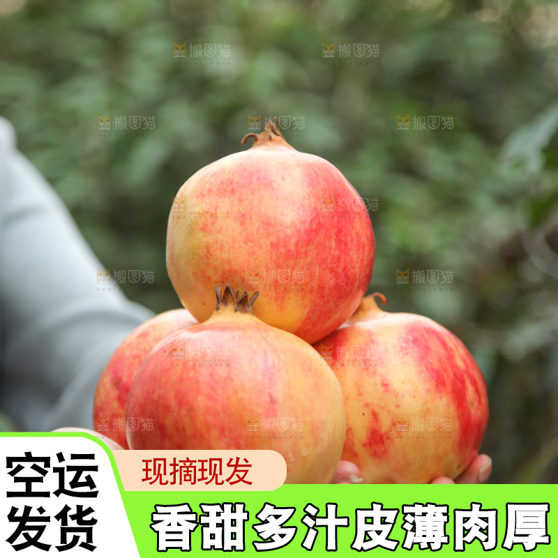 蒙自石榴主图