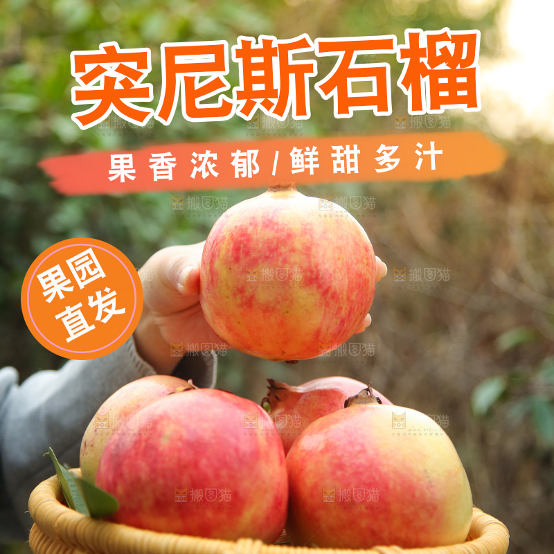 手里拿着突尼斯石榴