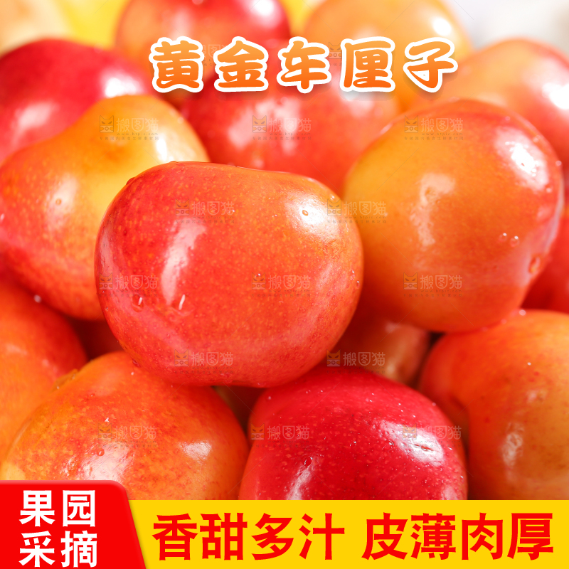 浅底上的黄金车厘子