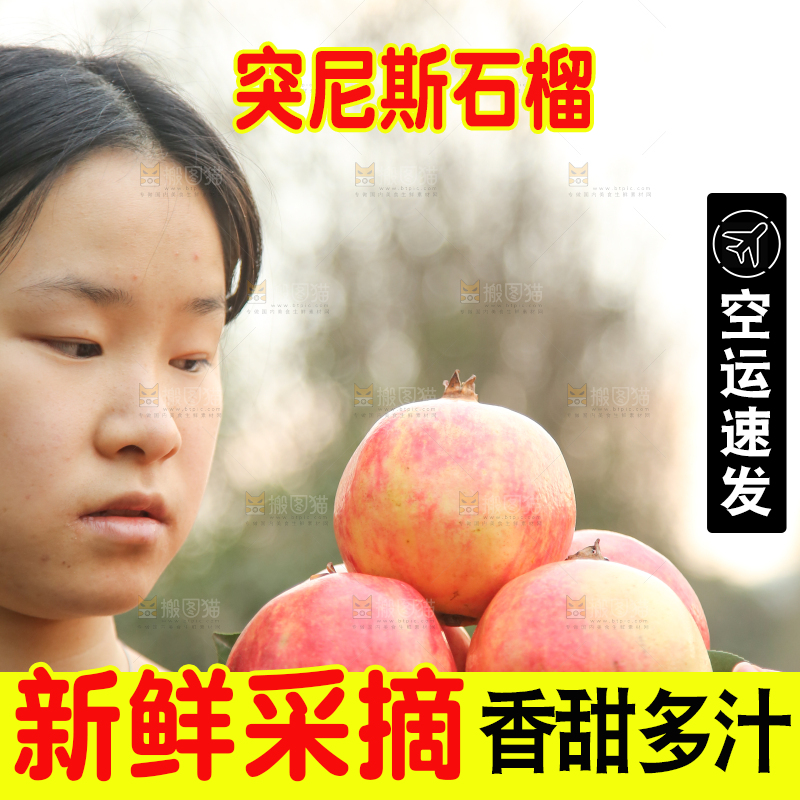 手里拿着突尼斯石榴