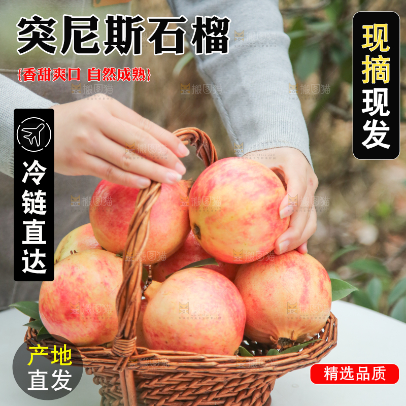 手里拿着突尼斯石榴