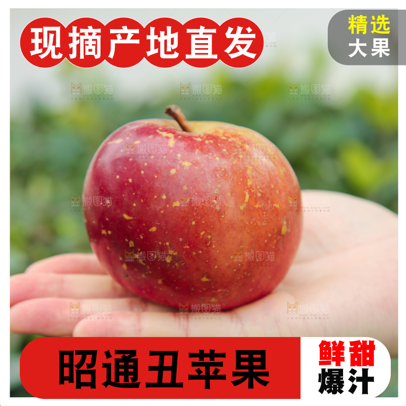 手里拿着昭通丑苹果