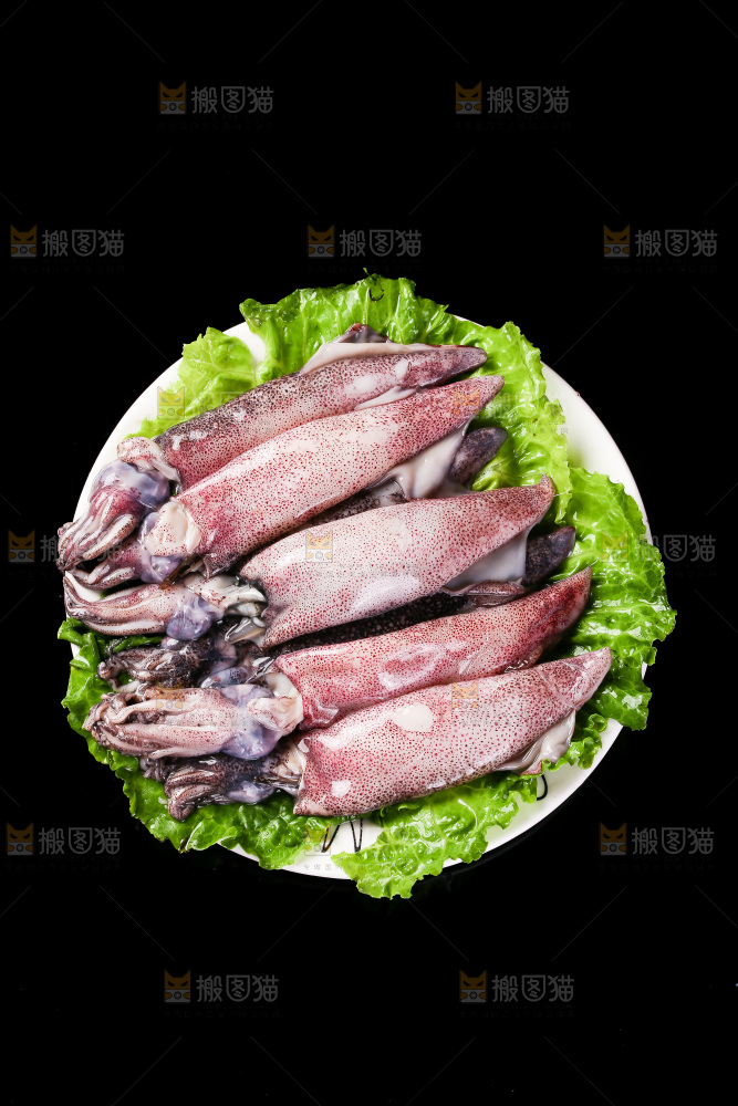 黑底上的海兔