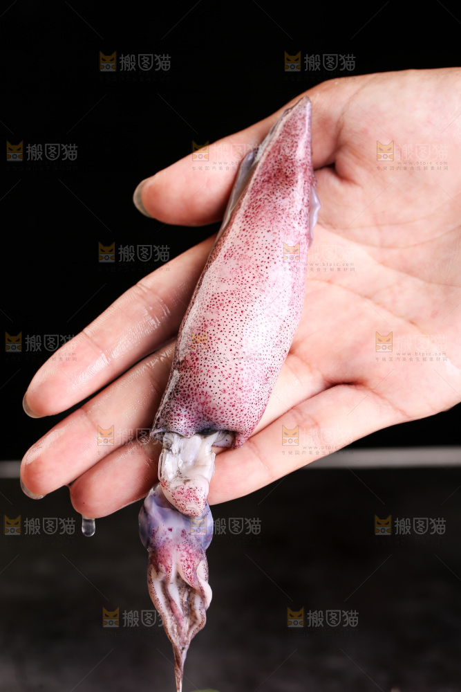 深底上的海兔