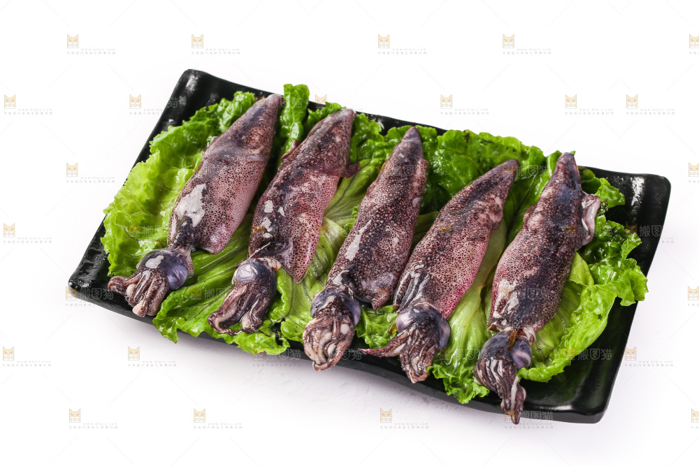 白底上的海兔
