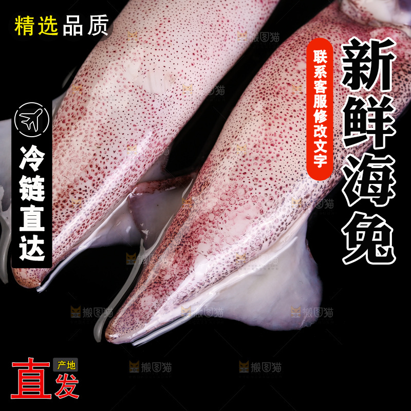 黑底上的海兔