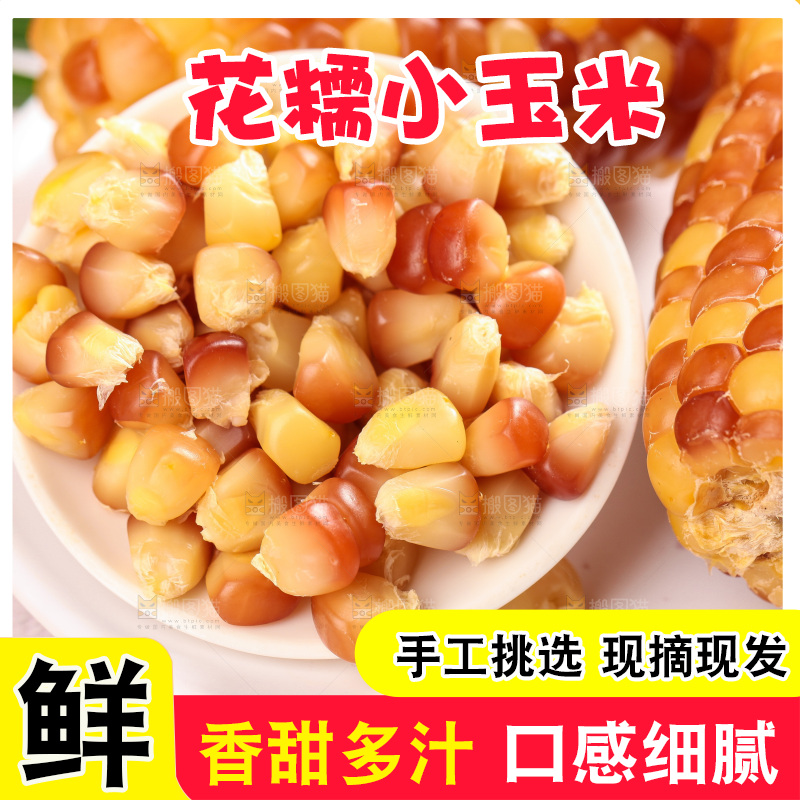 浅底上的小花糯玉米