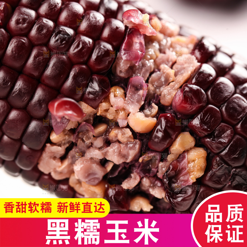 浅底上的黑糯玉米