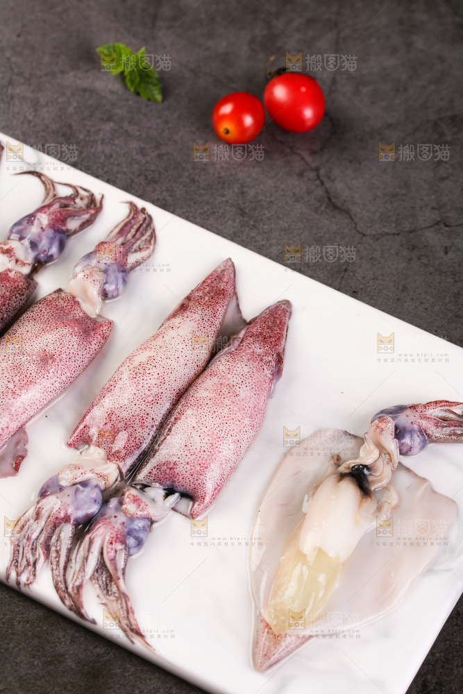 深底上的海兔