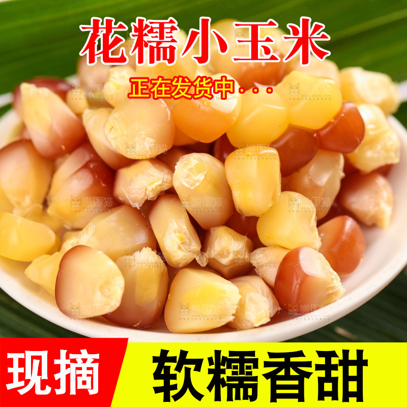 浅底上的小花糯玉米