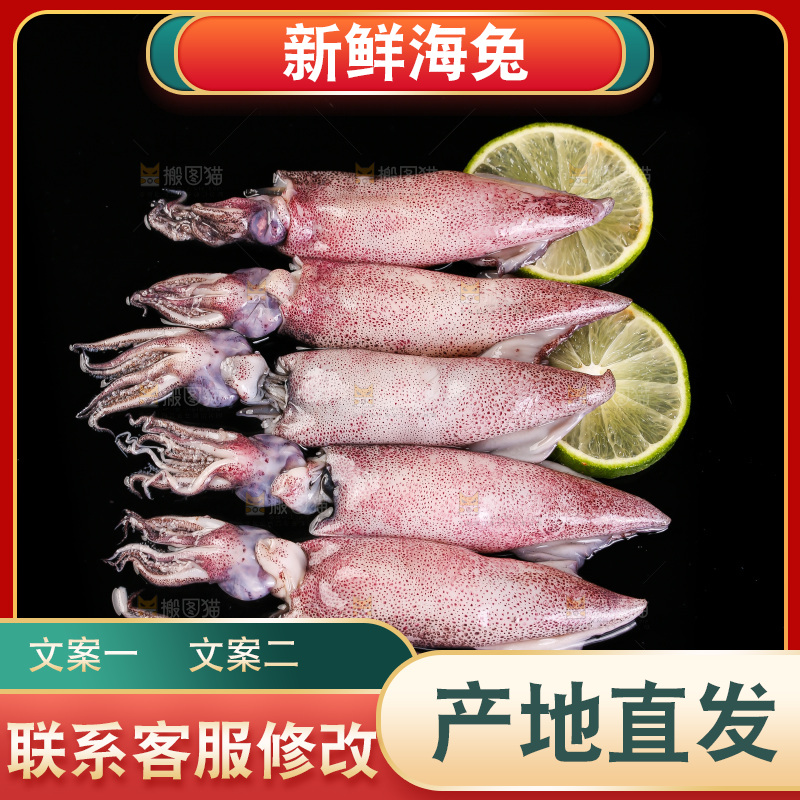 黑底上的海兔