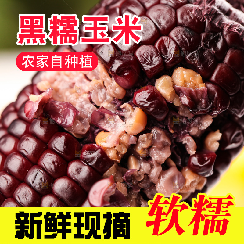 浅底上的黑糯玉米