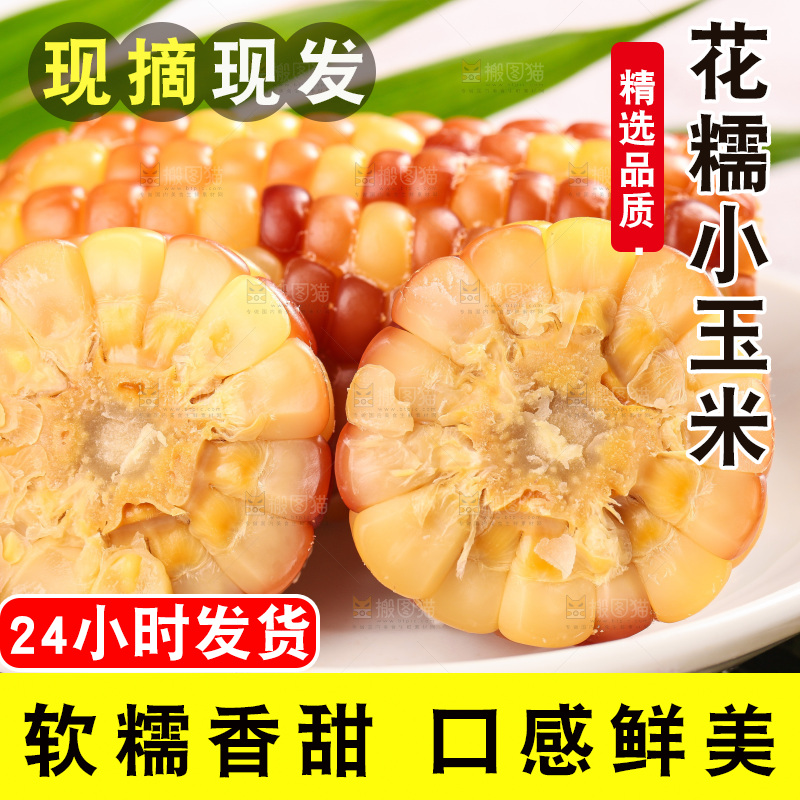 浅底上的小花糯玉米