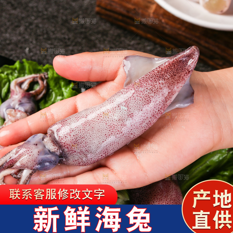 深底上的海兔