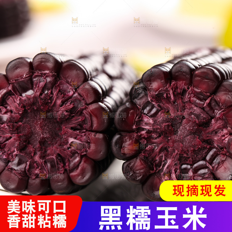 浅底上的黑糯玉米