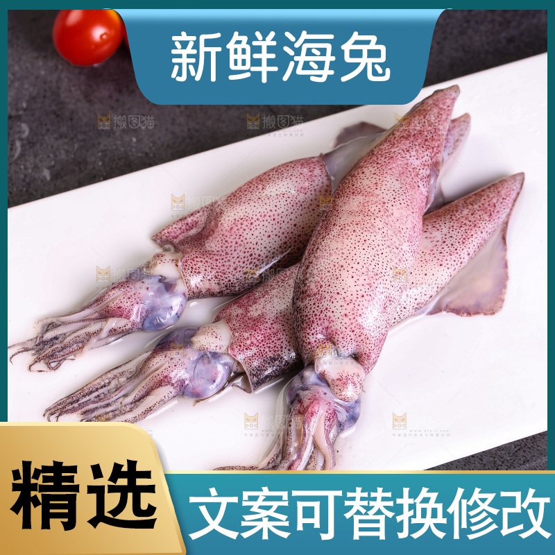 深底上的海兔