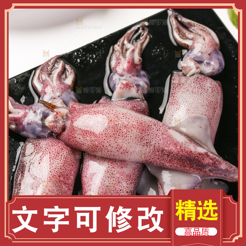 白底上的海兔