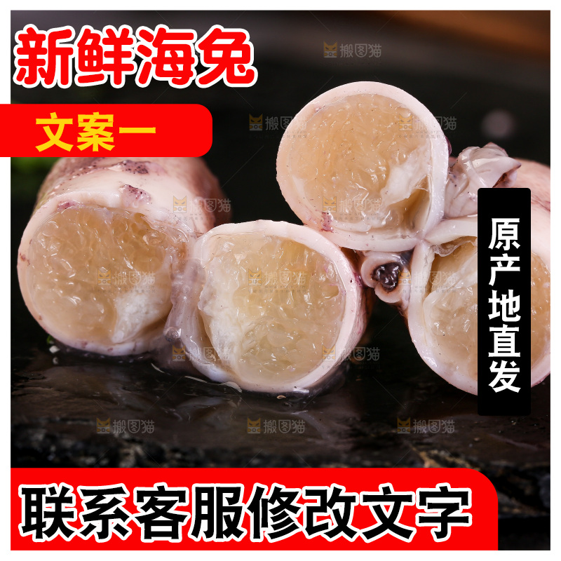 黑底上的海兔