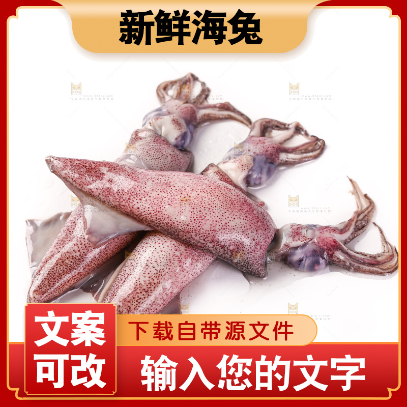 白底上的海兔
