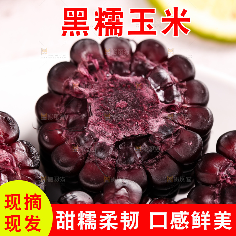 浅底上的黑糯玉米