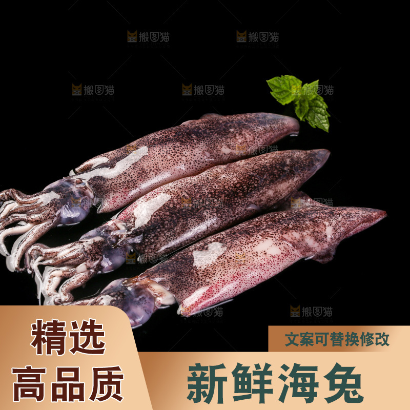 黑底上的海兔