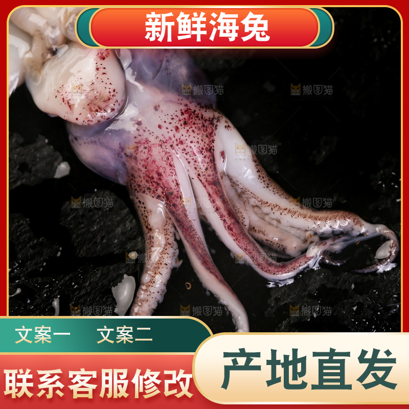 黑底上的海兔