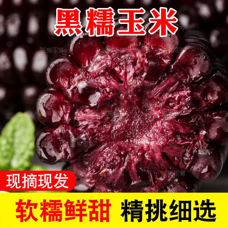 浅底上的黑糯玉米