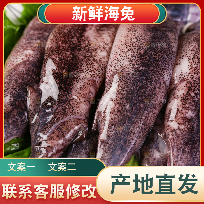 黑底上的海兔