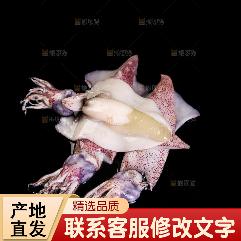 黑底上的海兔