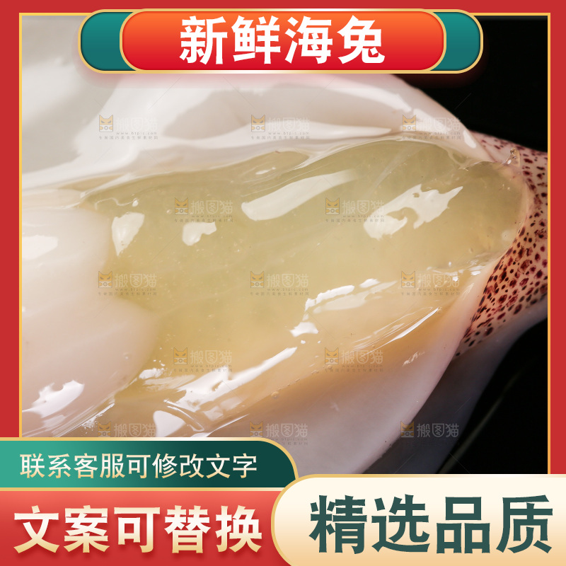 黑底上的海兔