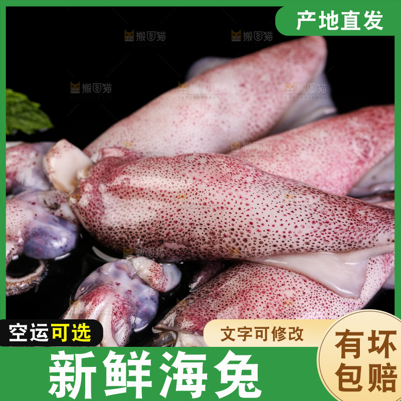 黑底上的海兔