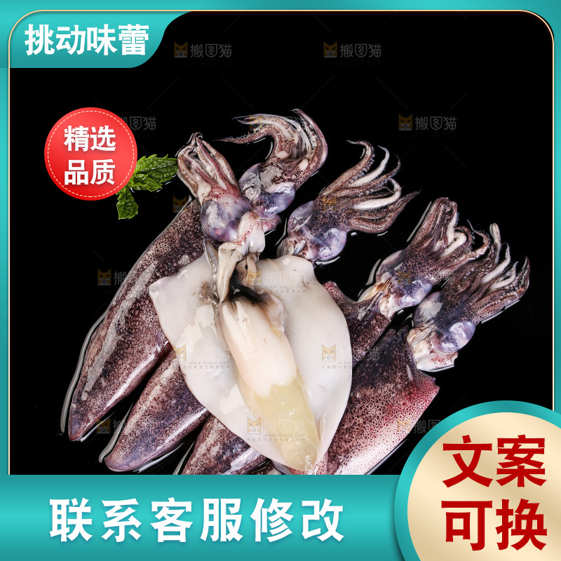 黑底上的海兔