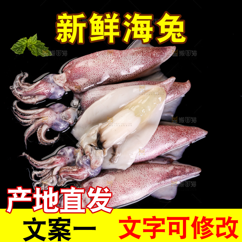 黑底上的海兔