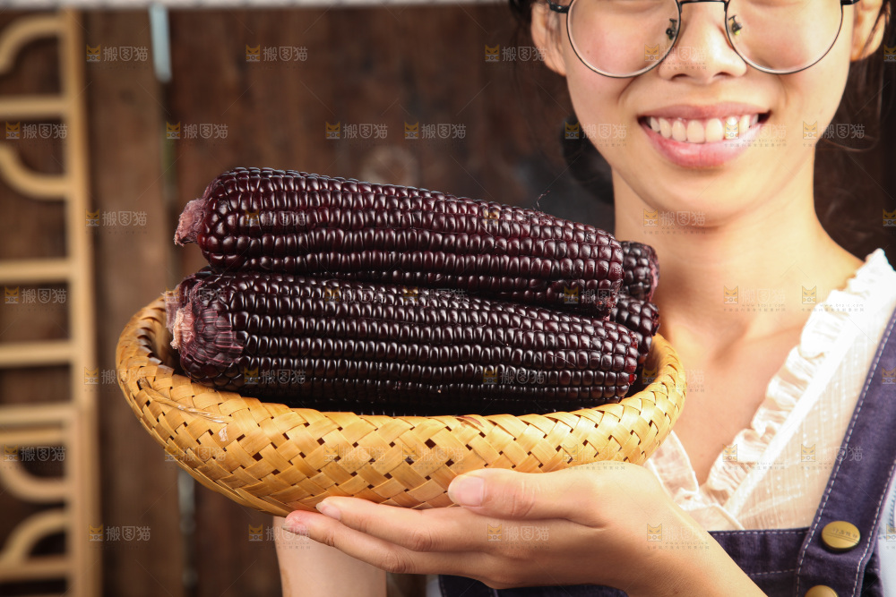 手里拿着黑玉米