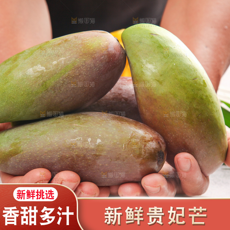 浅底上的贵妃芒