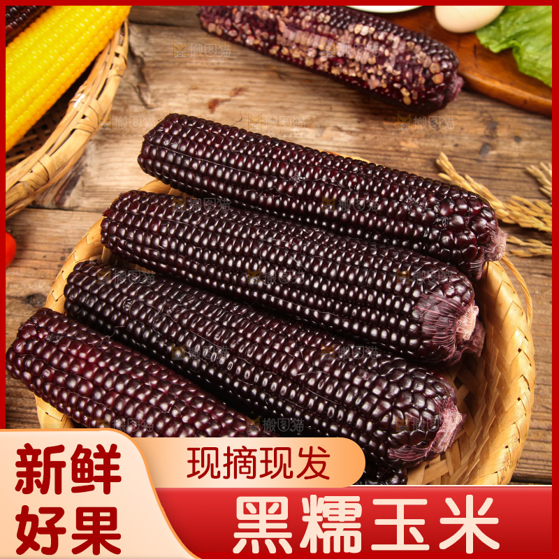 木底上的黑糯玉米