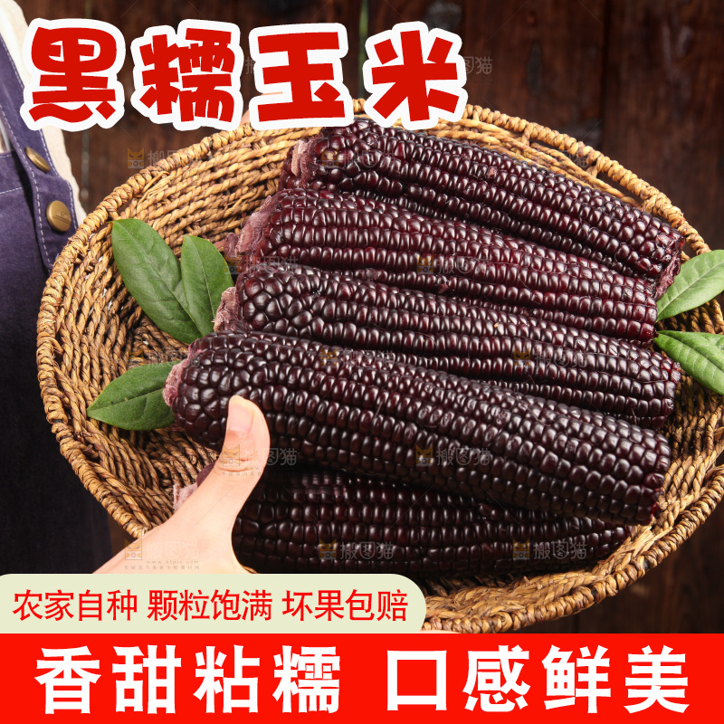 木底上的黑糯玉米