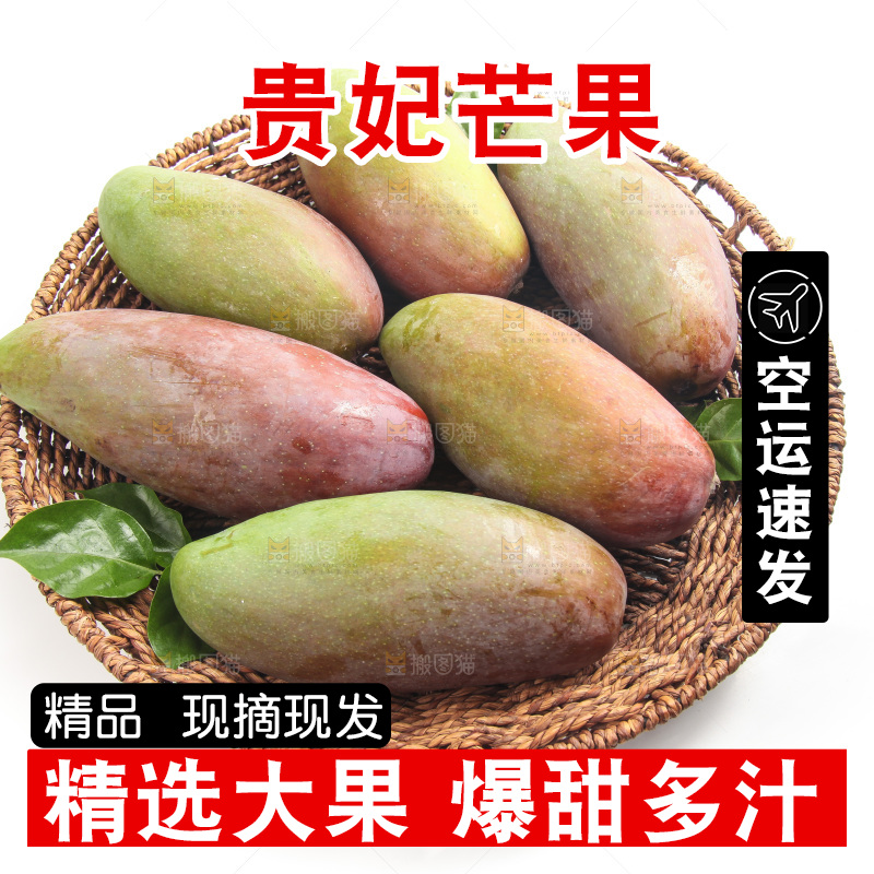 白底上的贵妃芒