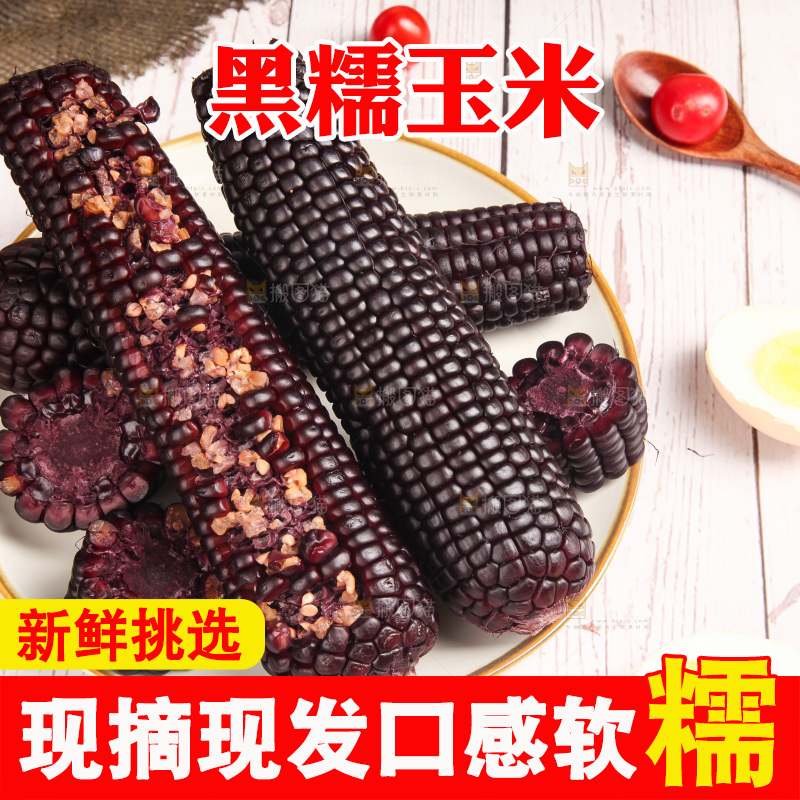 浅底上的黑糯玉米
