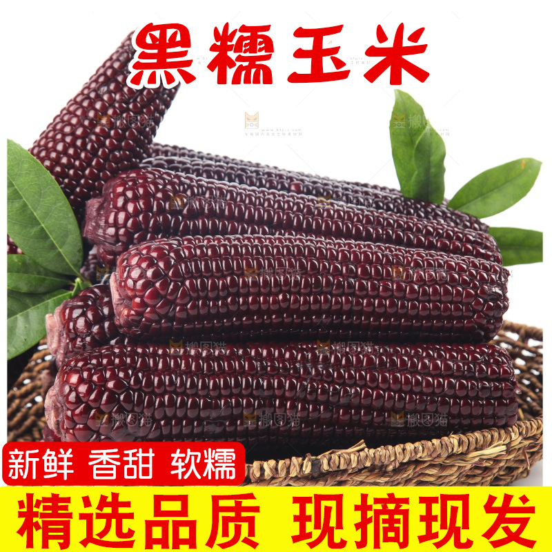白底上的黑糯玉米