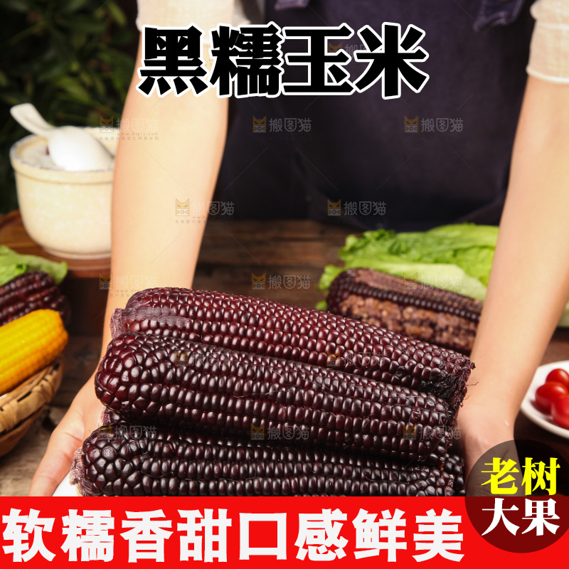 木底上的黑糯玉米