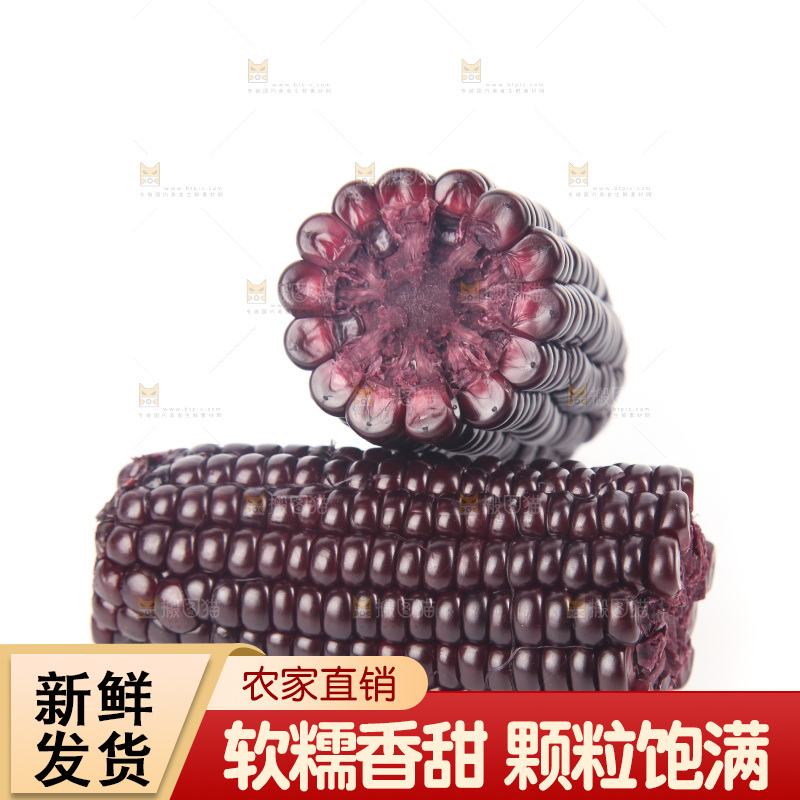 白底上的黑糯玉米
