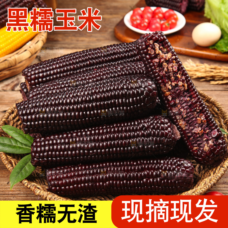 木底上的黑糯玉米