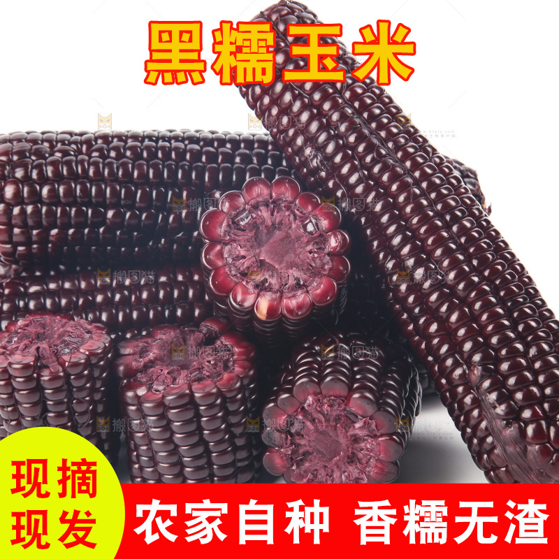 白底上的黑糯玉米