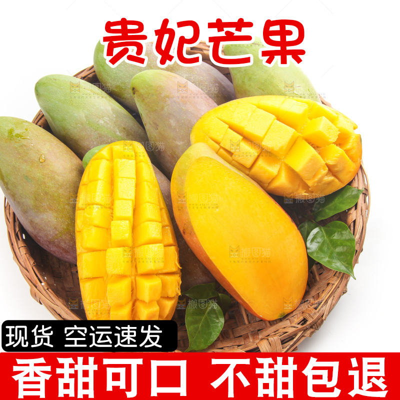 白底上的贵妃芒